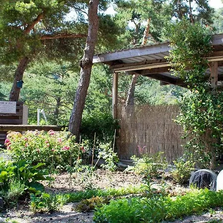 Mobil-home Convivial, Animaux Acceptes - 4 Pers. - Api-1-52-2743 캠프장 *